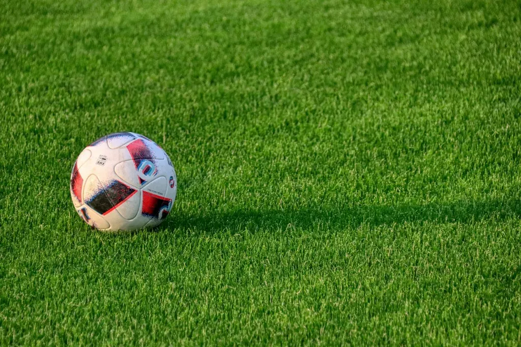 Jak wybrać odpowiedni materiał na piłkochwyt